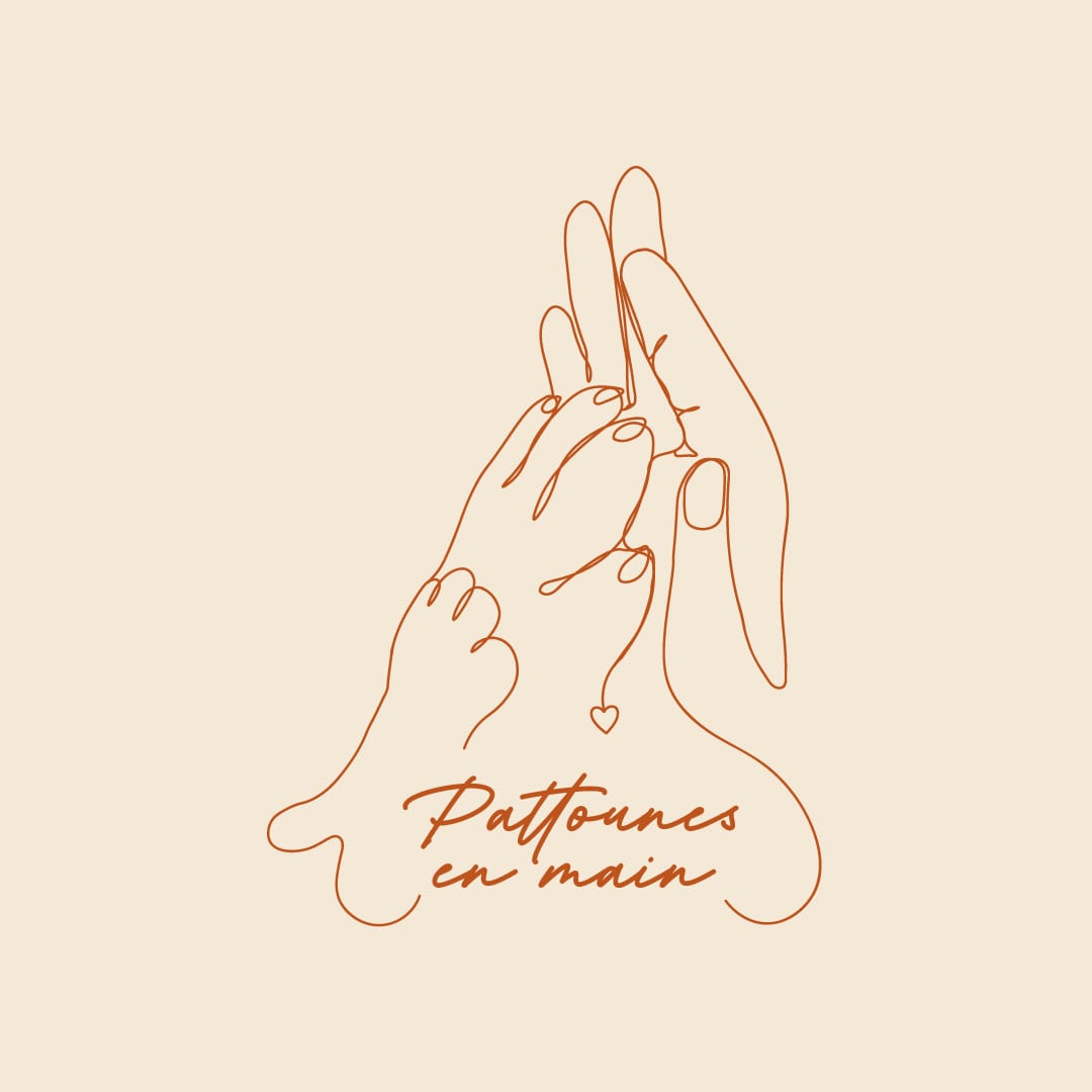 Logo compte Instagram