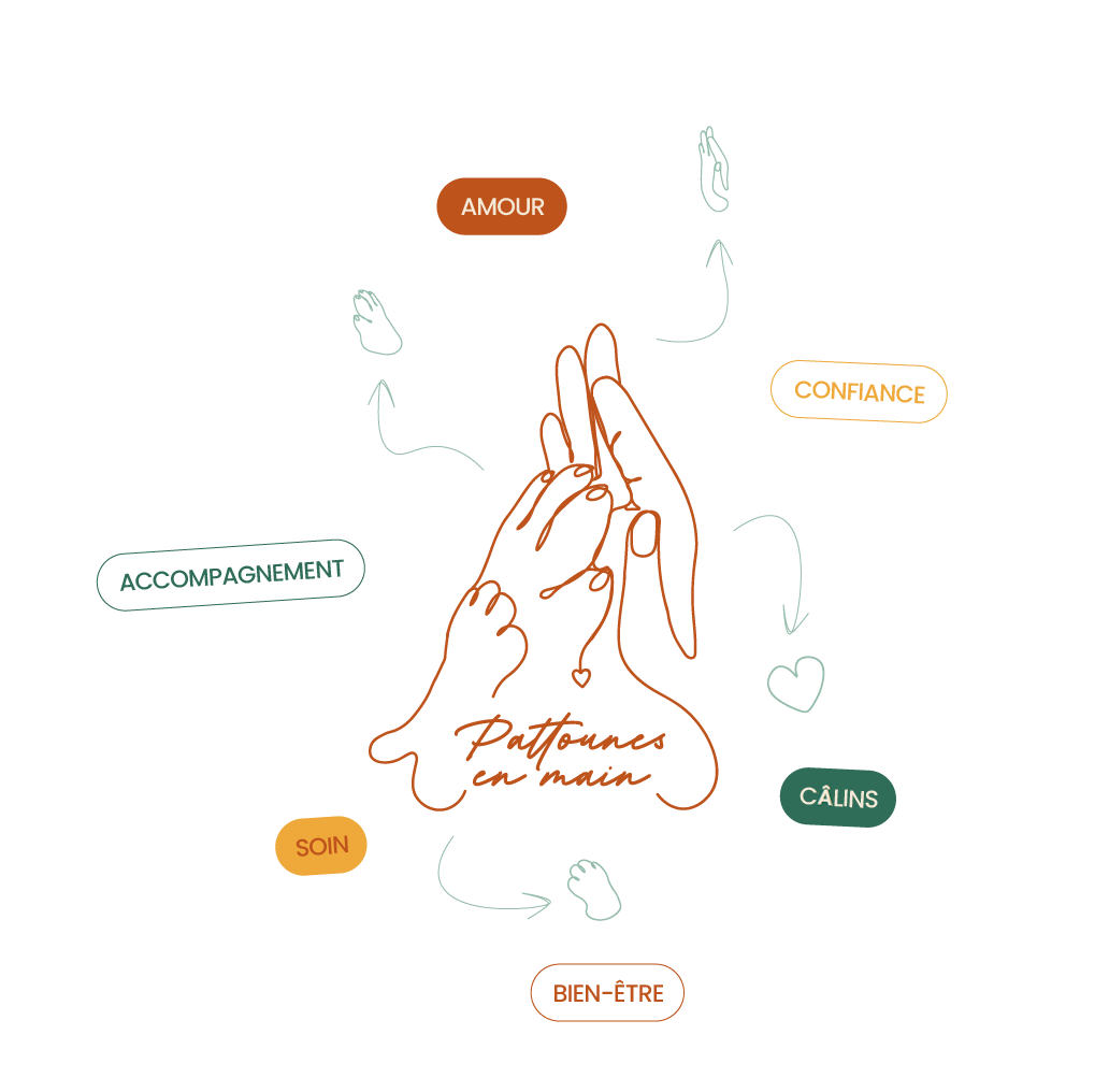 Logo de pattounes en main